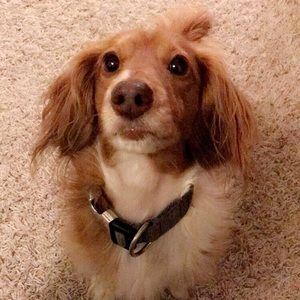 Meet your Posher, Keah